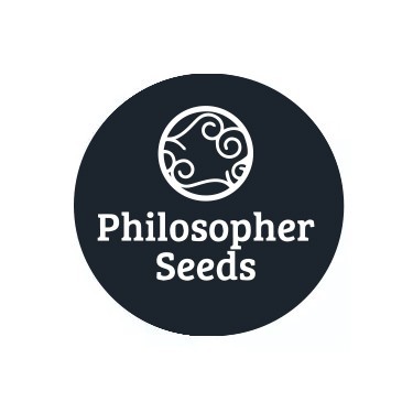 Philosopher Seeds auto